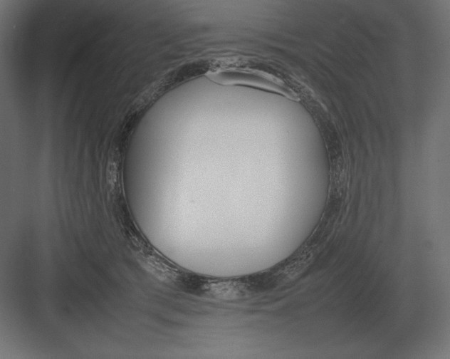 X0000082150417200702092156