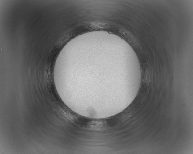 X0000082150418200702092156