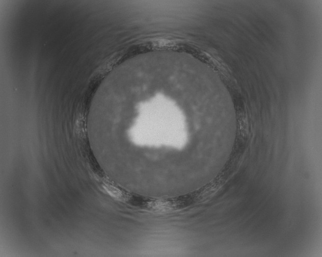 X0000082150419200702092156