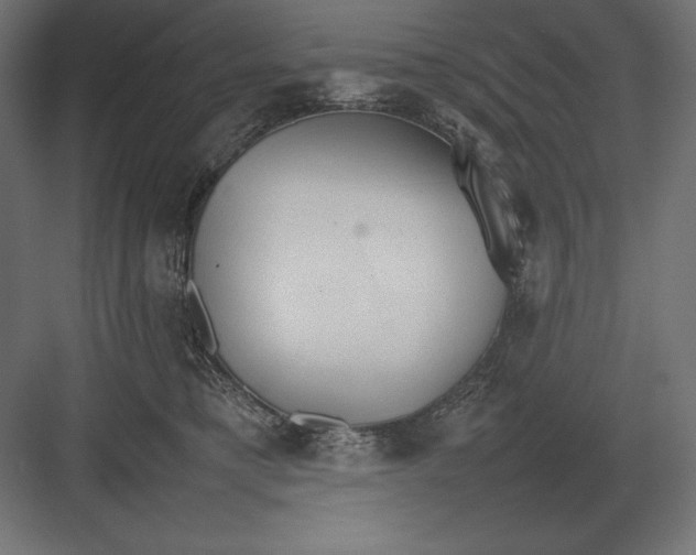 X0000082150421200702092156