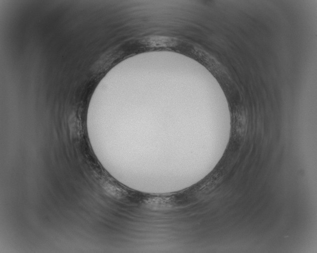 X0000082150422200702092156