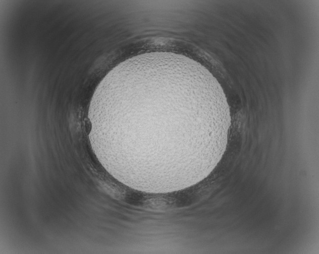 X0000082150423200702092156