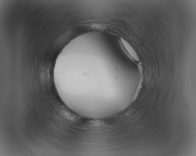 X0000082150424200702092156