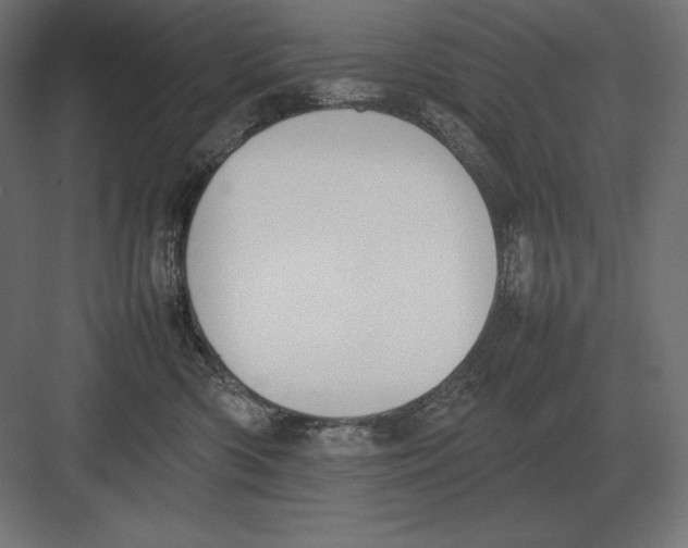 X0000082150426200702092156