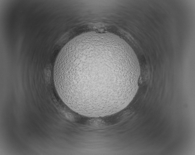 X0000082150427200702092156