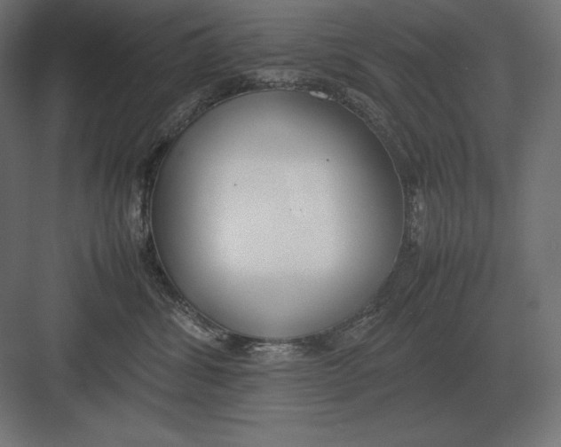 X0000082150428200702092156