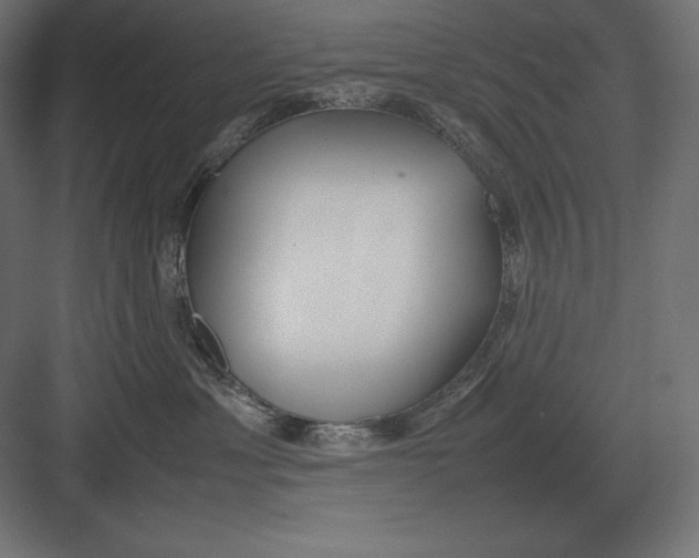 X0000082150429200702092156