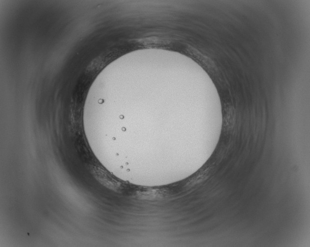 X0000082150430200702092156