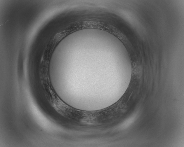 X0000082150431200702092156