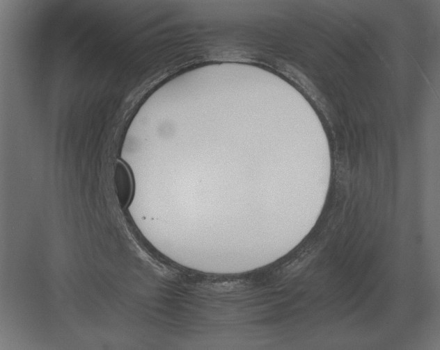 X0000082150433200702092155