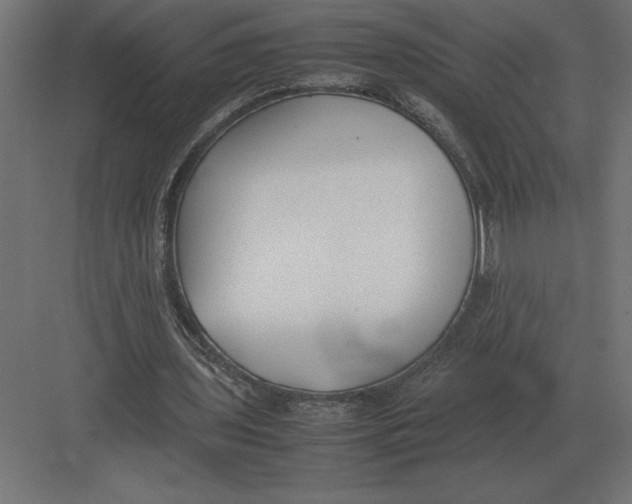 X0000082150435200702092155