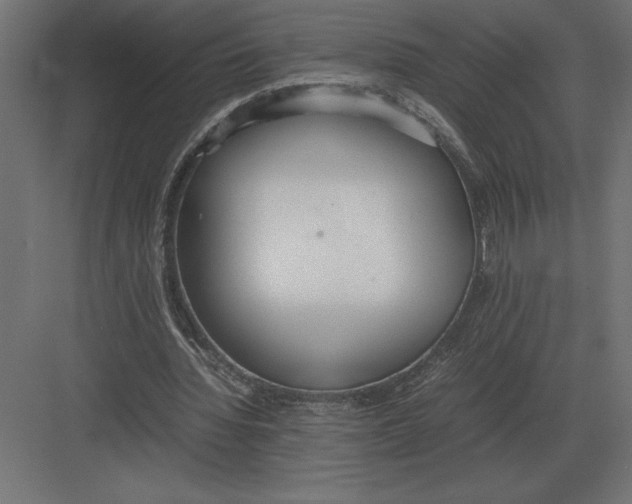 X0000082150436200702092155