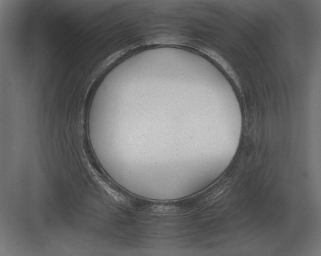 X0000082150437200702092155