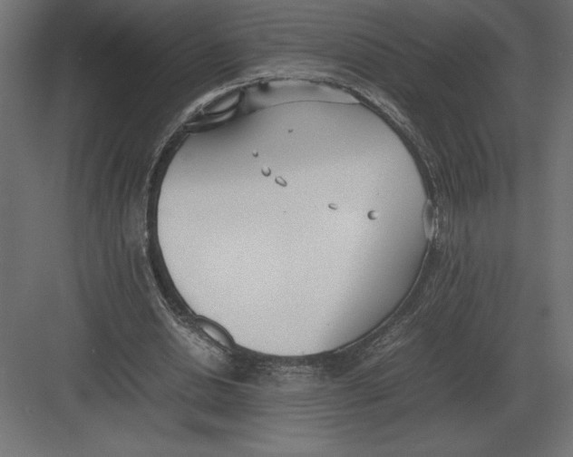 X0000082150438200702092155