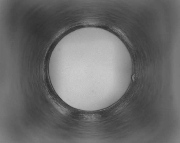 X0000082150439200702092155