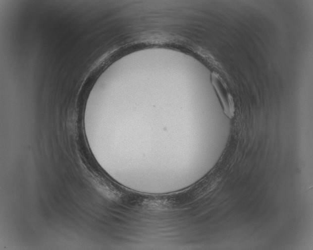 X0000082150440200702092155