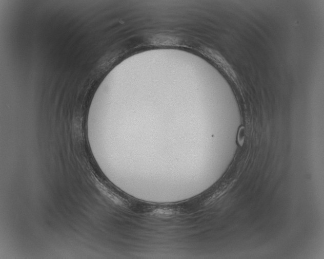 X0000082150441200702092155