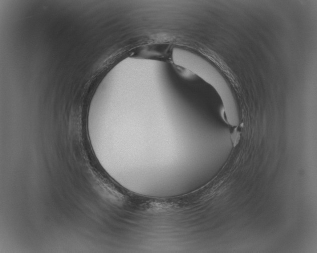 X0000082150442200702092155