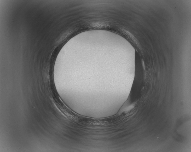 X0000082150443200702092155