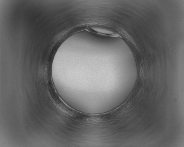 X0000082150444200702092155