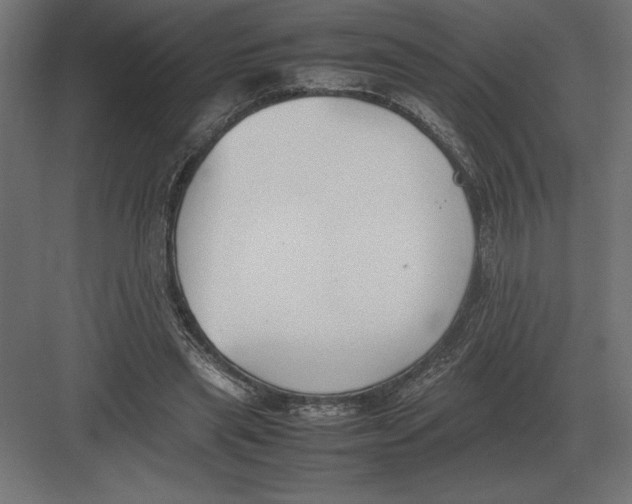 X0000082150445200702092155