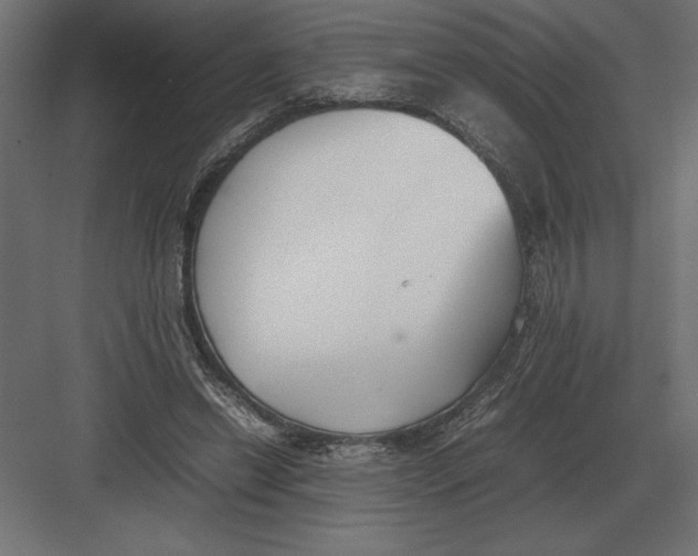 X0000082150446200702092155