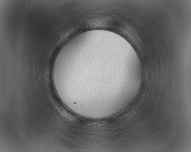 X0000082150447200702092155