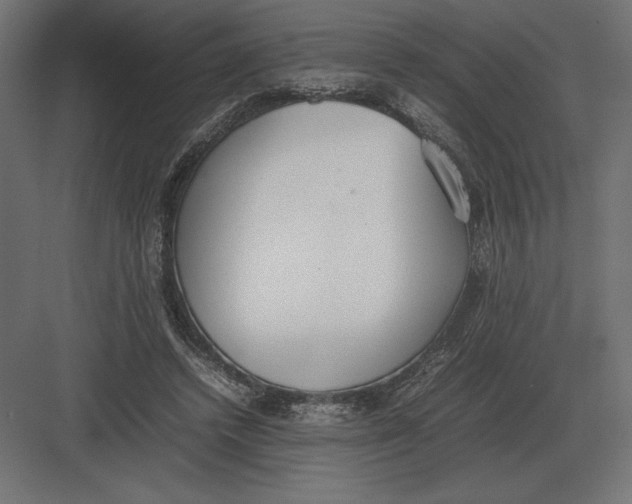 X0000082150448200702092155