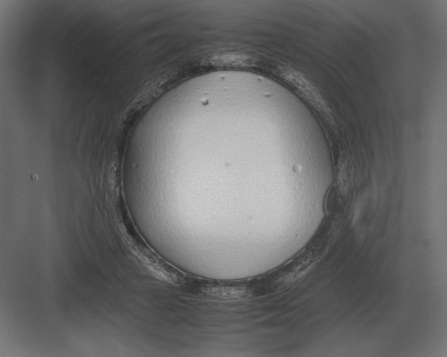 X0000082150449200702092155