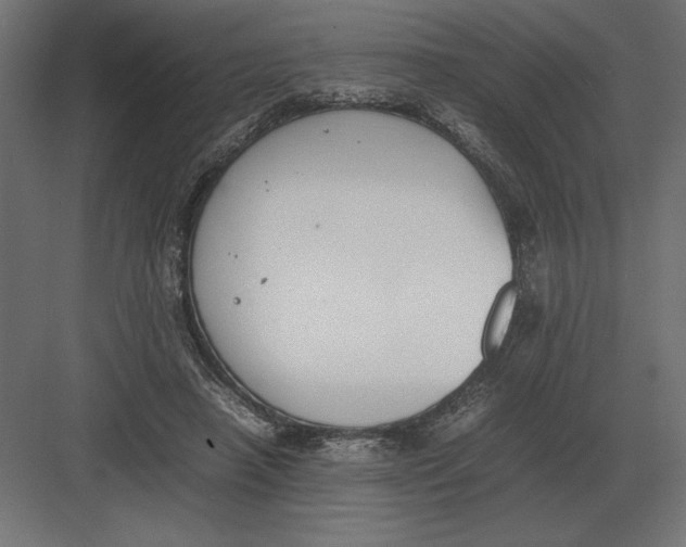 X0000082150450200702092155