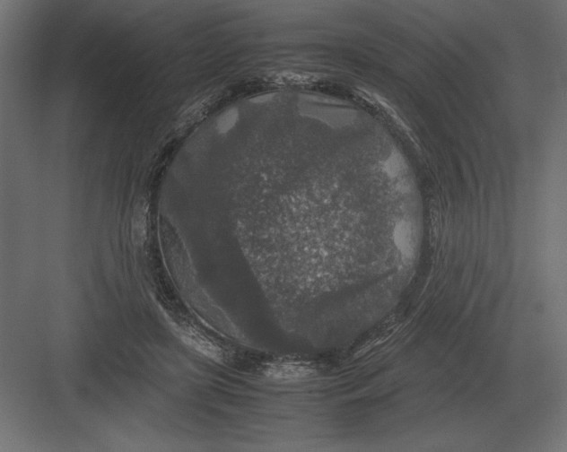 X0000082150451200702092155