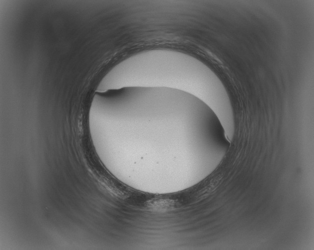 X0000082150452200702092155