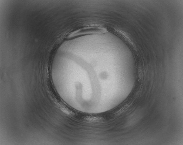 X0000082150453200702092155