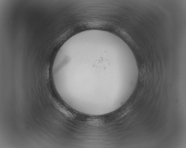 X0000082150454200702092155