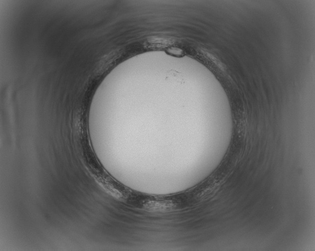 X0000082150455200702092155