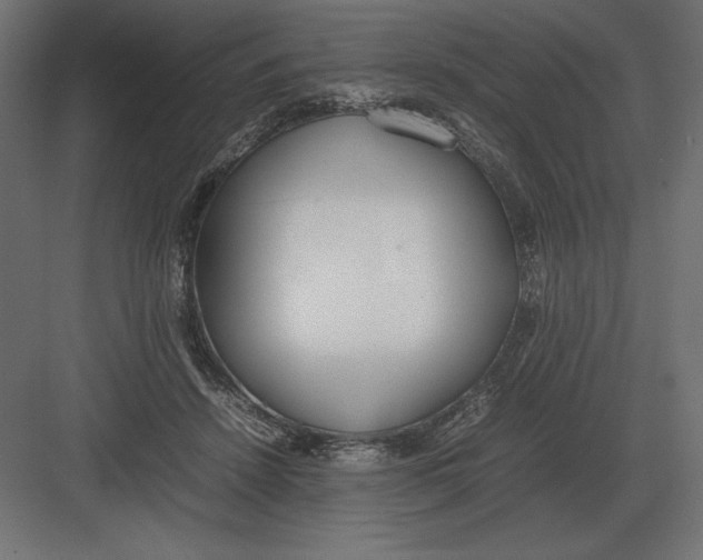 X0000082150456200702092155