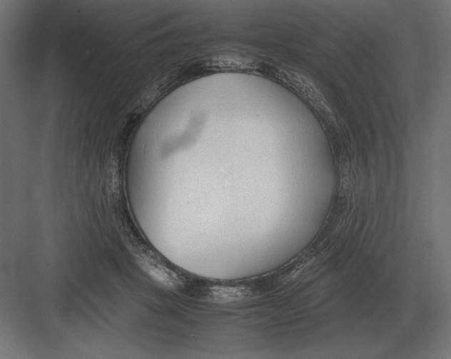 X0000082150457200702092155