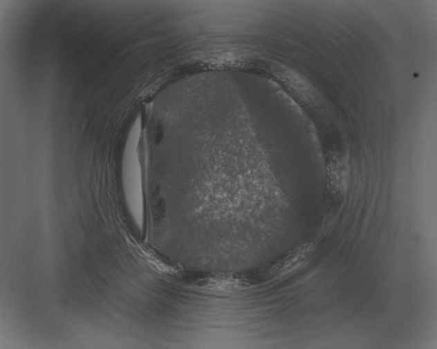 X0000082150458200702092155