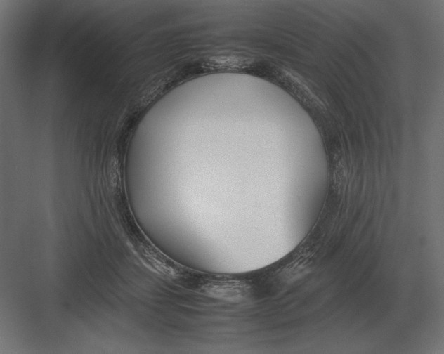 X0000082150459200702092155