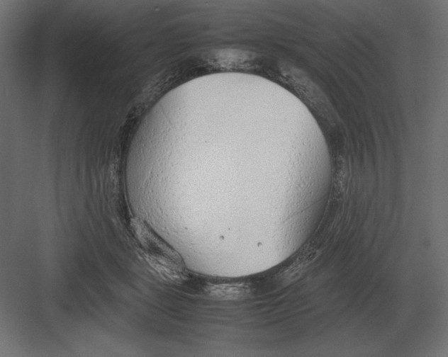 X0000082150461200702092155