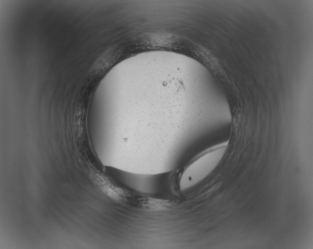 X0000082150462200702092155