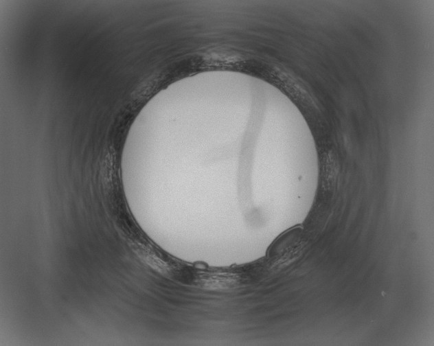 X0000082150463200702092155