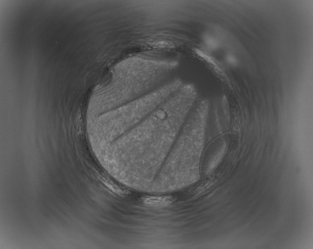 X0000082150465200702092155