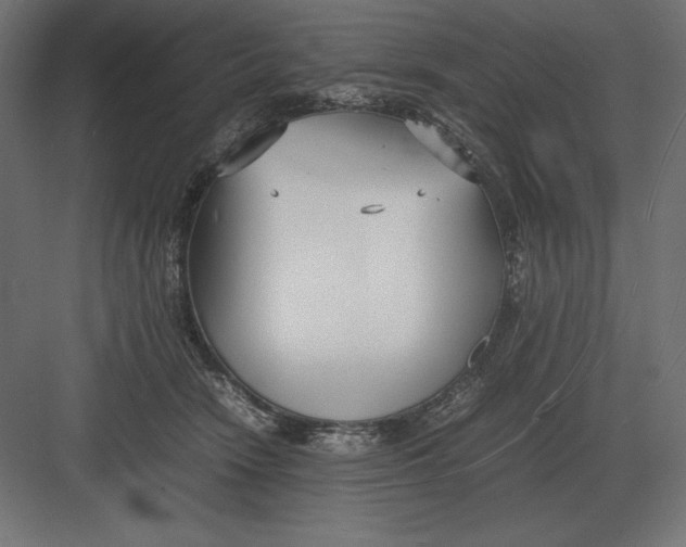 X0000082150466200702092155