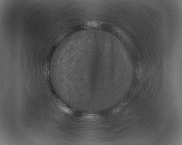 X0000082150467200702092155