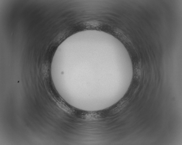 X0000082150468200702092155