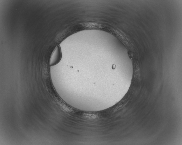 X0000082150469200702092155