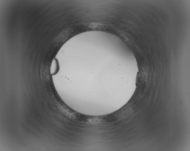 X0000082150470200702092155