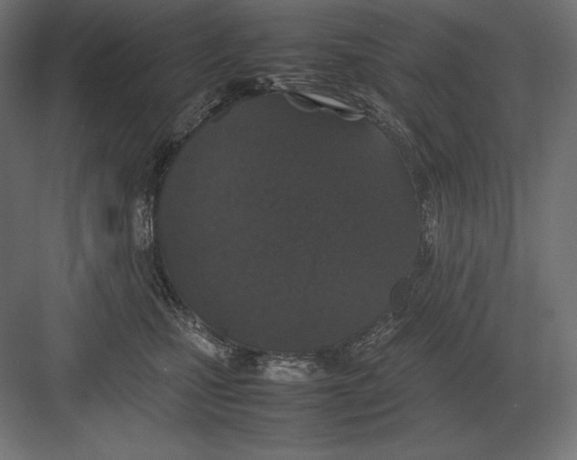 X0000082150471200702092156