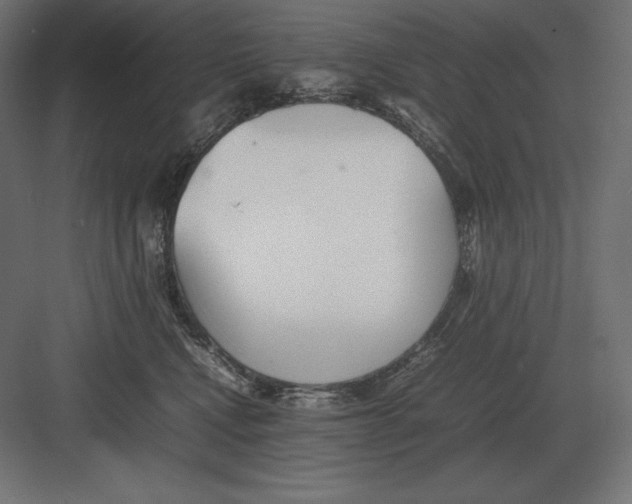 X0000082150472200702092156